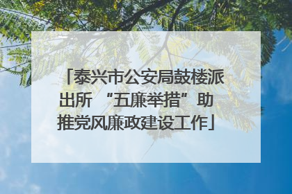 泰兴市公安局鼓楼派出所 “五廉举措”助推党风廉政建设工作