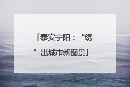 泰安宁阳：“绣”出城市新图景