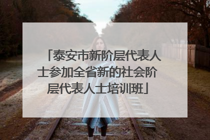 泰安市新阶层代表人士参加全省新的社会阶层代表人士培训班