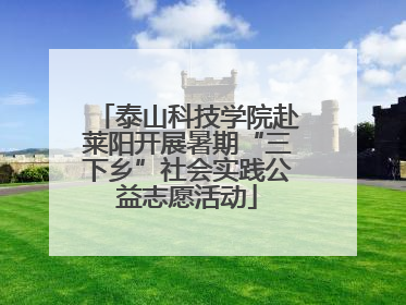 泰山科技学院赴莱阳开展暑期“三下乡”社会实践公益志愿活动