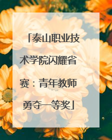 泰山职业技术学院闪耀省赛：青年教师勇夺一等奖