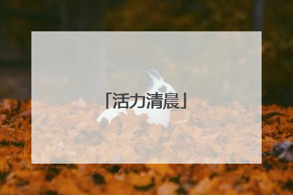 活力清晨