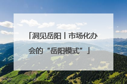 洞见岳阳丨市场化办会的“岳阳模式”