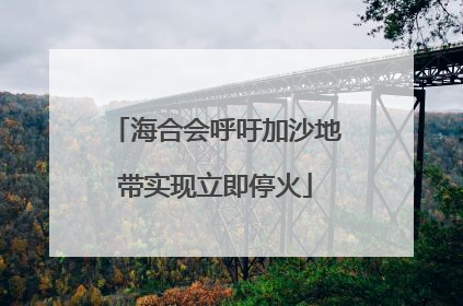 海合会呼吁加沙地带实现立即停火