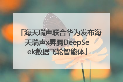 海天瑞声联合华为发布海天瑞声x昇腾DeepSeek数据飞轮智能体