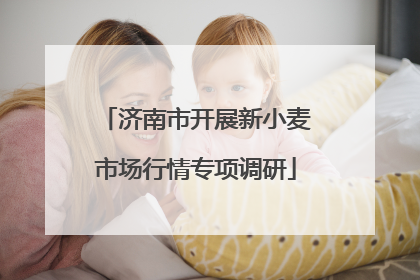 济南市开展新小麦市场行情专项调研