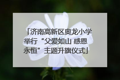 济南高新区奥龙小学举行“父爱如山 感恩永恒”主题升旗仪式