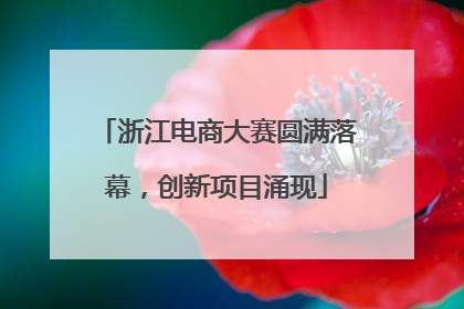 浙江电商大赛圆满落幕，创新项目涌现