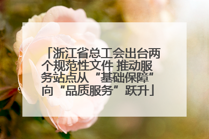浙江省总工会出台两个规范性文件 推动服务站点从“基础保障”向“品质服务”跃升