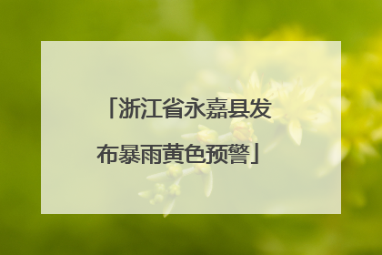 浙江省永嘉县发布暴雨黄色预警