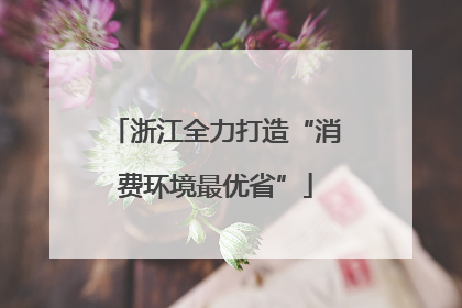 浙江全力打造“消费环境最优省”