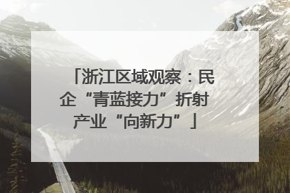 浙江区域观察：民企“青蓝接力”折射产业“向新力”