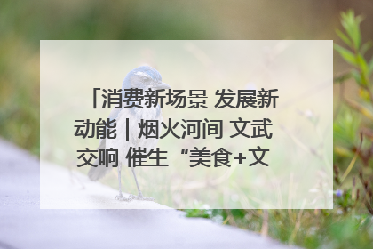 消费新场景 发展新动能｜烟火河间 文武交响 催生“美食+文化”消费新场景