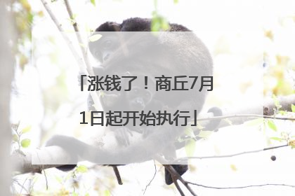 涨钱了！商丘7月1日起开始执行