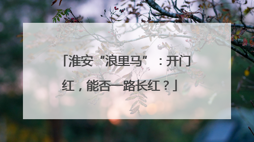 淮安“浪里马”：开门红，能否一路长红？