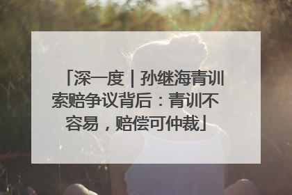 深一度｜孙继海青训索赔争议背后：青训不容易，赔偿可仲裁