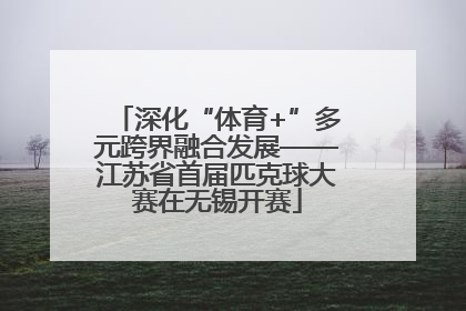 深化“体育+”多元跨界融合发展——江苏省首届匹克球大赛在无锡开赛