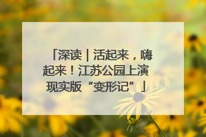深读｜活起来，嗨起来！江苏公园上演现实版“变形记”