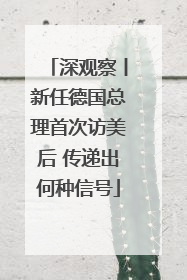 深观察丨新任德国总理首次访美后 传递出何种信号