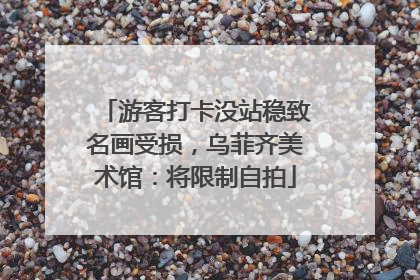 游客打卡没站稳致名画受损，乌菲齐美术馆：将限制自拍