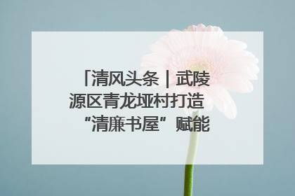 清风头条｜武陵源区青龙垭村打造“清廉书屋”赋能乡村振兴新风尚