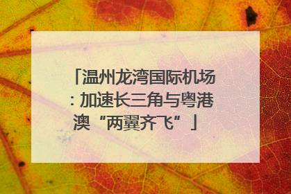 温州龙湾国际机场：加速长三角与粤港澳“两翼齐飞”