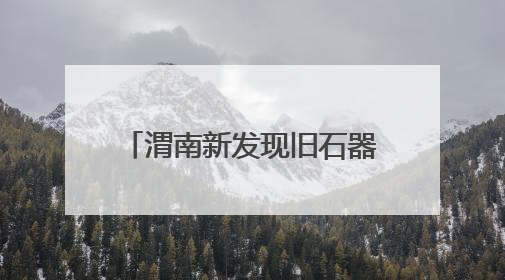 渭南新发现旧石器遗址100余处 实证秦岭北麓百万年人类生存演化史