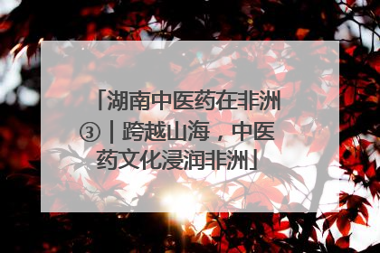 湖南中医药在非洲③｜跨越山海，中医药文化浸润非洲