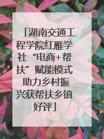 湖南交通工程学院红雁学社“电商+帮扶”赋能模式 助力乡村振兴获帮扶乡镇好评
