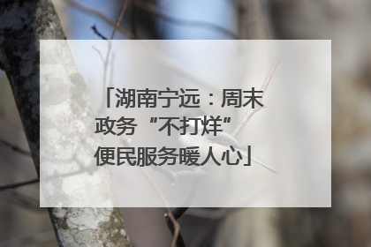 湖南宁远：周末政务“不打烊” 便民服务暖人心