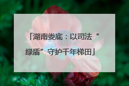 湖南娄底：以司法“绿盾”守护千年梯田