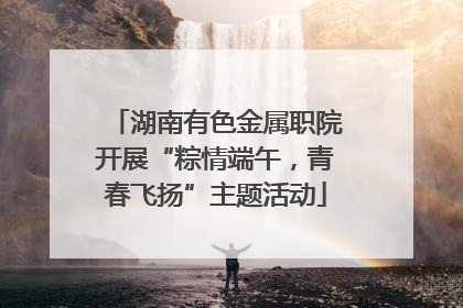 湖南有色金属职院开展“粽情端午，青春飞扬”主题活动