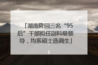 湖南隆回三名“95后”干部拟任副科级领导，均系硕士选调生