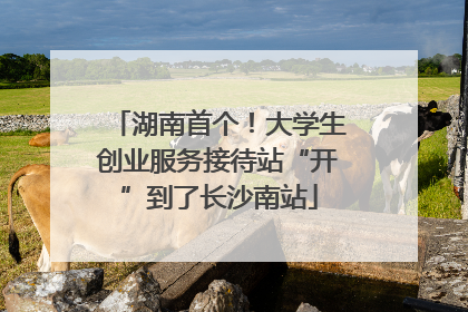 湖南首个！大学生创业服务接待站“开”到了长沙南站