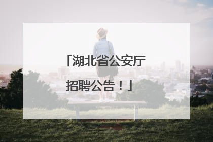湖北省公安厅招聘公告！