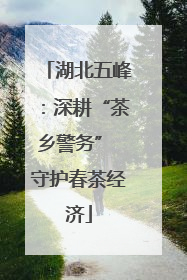 湖北五峰：深耕“茶乡警务” 守护春茶经济