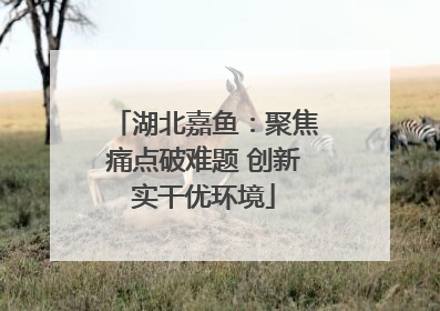 湖北嘉鱼：聚焦痛点破难题 创新实干优环境