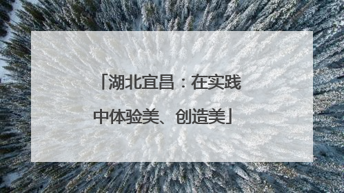 湖北宜昌：在实践中体验美、创造美