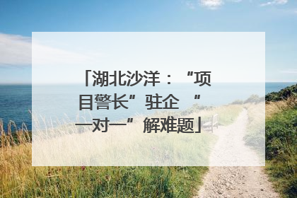 湖北沙洋：“项目警长”驻企 “一对一”解难题