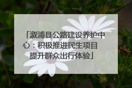 溆浦县公路建设养护中心：积极推进民生项目 提升群众出行体验
