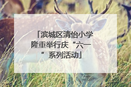 滨城区清怡小学隆重举行庆“六一”系列活动