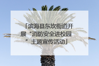滨海县东坎街道开展“消防安全进校园”主题宣传活动