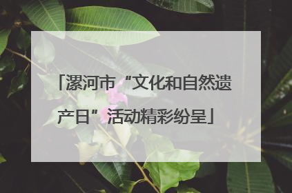漯河市“文化和自然遗产日”活动精彩纷呈