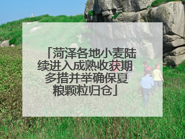 菏泽各地小麦陆续进入成熟收获期 多措并举确保夏粮颗粒归仓