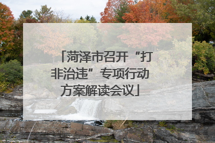 菏泽市召开“打非治违”专项行动方案解读会议