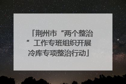 荆州市“两个整治”工作专班组织开展冷库专项整治行动