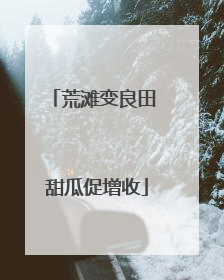 荒滩变良田 甜瓜促增收