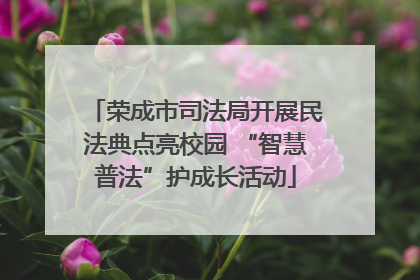 荣成市司法局开展民法典点亮校园 “智慧普法”护成长活动