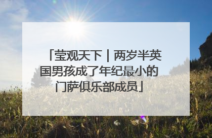 莹观天下｜两岁半英国男孩成了年纪最小的门萨俱乐部成员