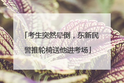 考生突然晕倒，东新民警推轮椅送他进考场